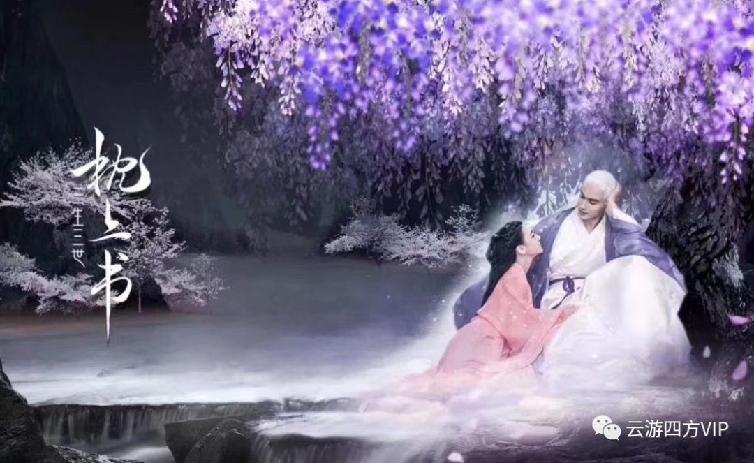 2018年残疾夫妻撞坏百万宝马车，要分期4年半赔钱，他们如愿了吗