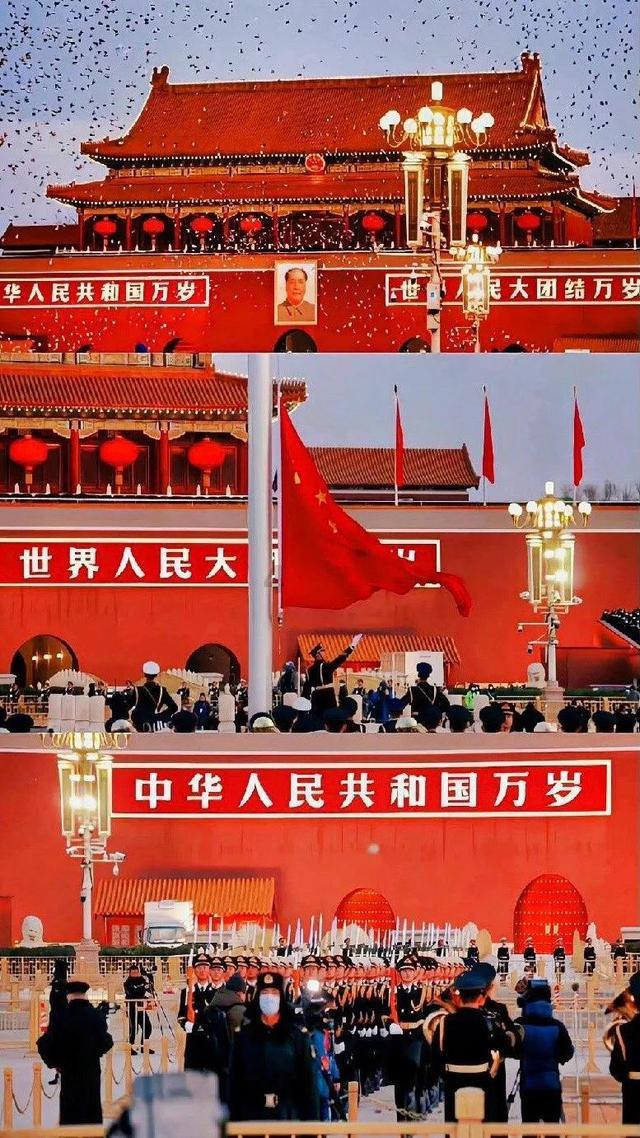 救援可爱小松鼠